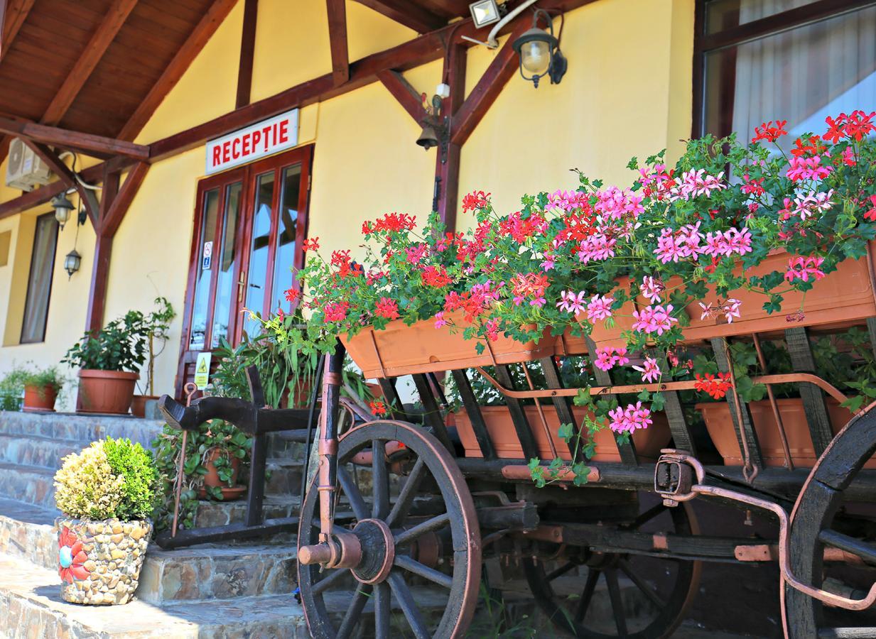 Pension Varadia Oradea Εξωτερικό φωτογραφία